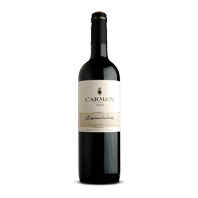 Carmen Rapel Valley Carmenere 2007