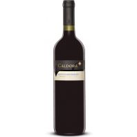 Caldora Montepulciano d’Abruzzo 2009