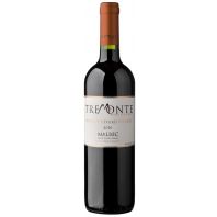 Tremonte Single Vineyard Reserva Malbec 2010